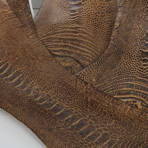 May include: Close-up of brown ostrich leather with a textured pattern. The leather is soft and supple, with a natural sheen.