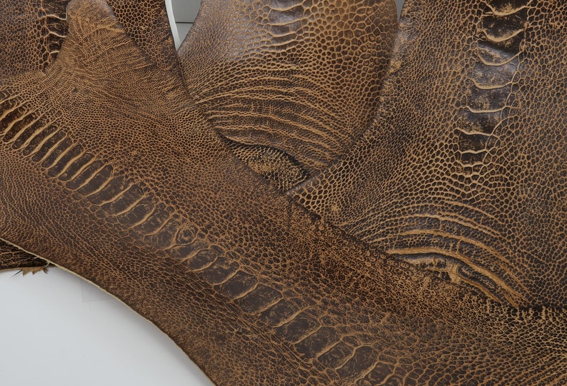 May include: Close-up of brown ostrich leather with a textured pattern. The leather is soft and supple, with a natural sheen.