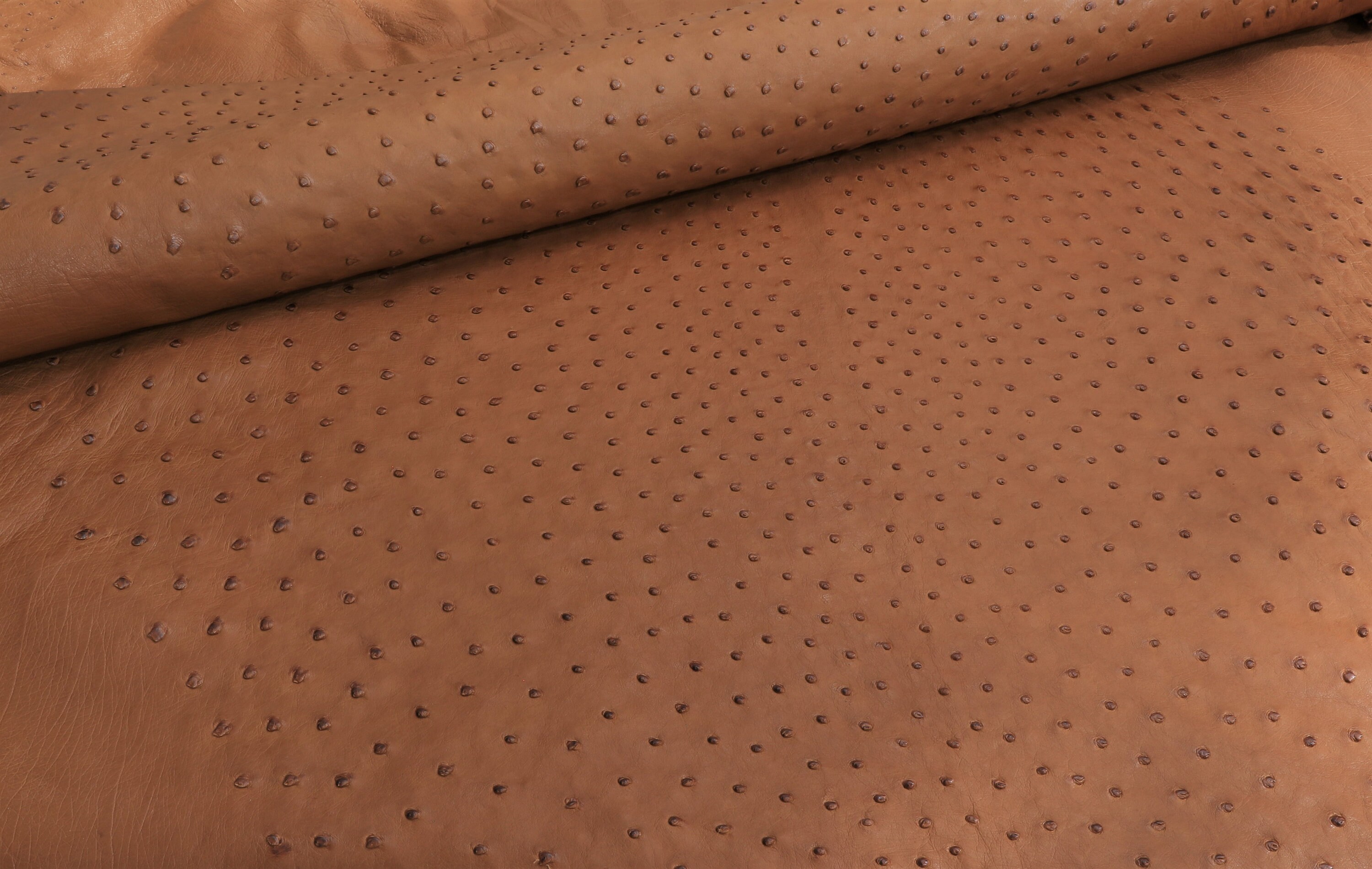 Ostrich skin Leather Cinnamon Color (Maddog) (%100 Natural Genuine Hide)