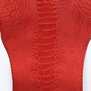 May include: Red ostrich skin with a textured pattern. The skin is smooth and has a slight sheen.