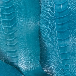 Ostrich Legs Leather Crystal Blue Color Grade A and B