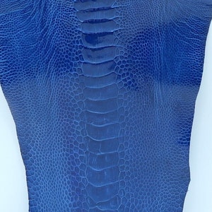 Ostrich Legs Leather Aura Blue Color Grade B