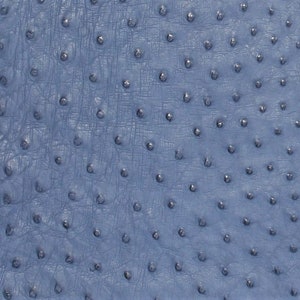 Ostrich Hide Leather  Blue Jean Color - Vintage (%100 Genuine Natural Skin )