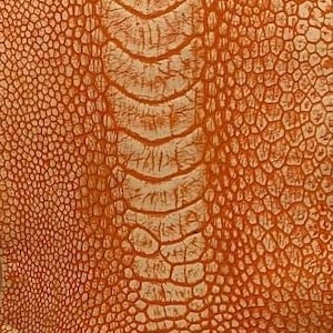 Ostrich Leg Leathers Tangerine Stone washed Color