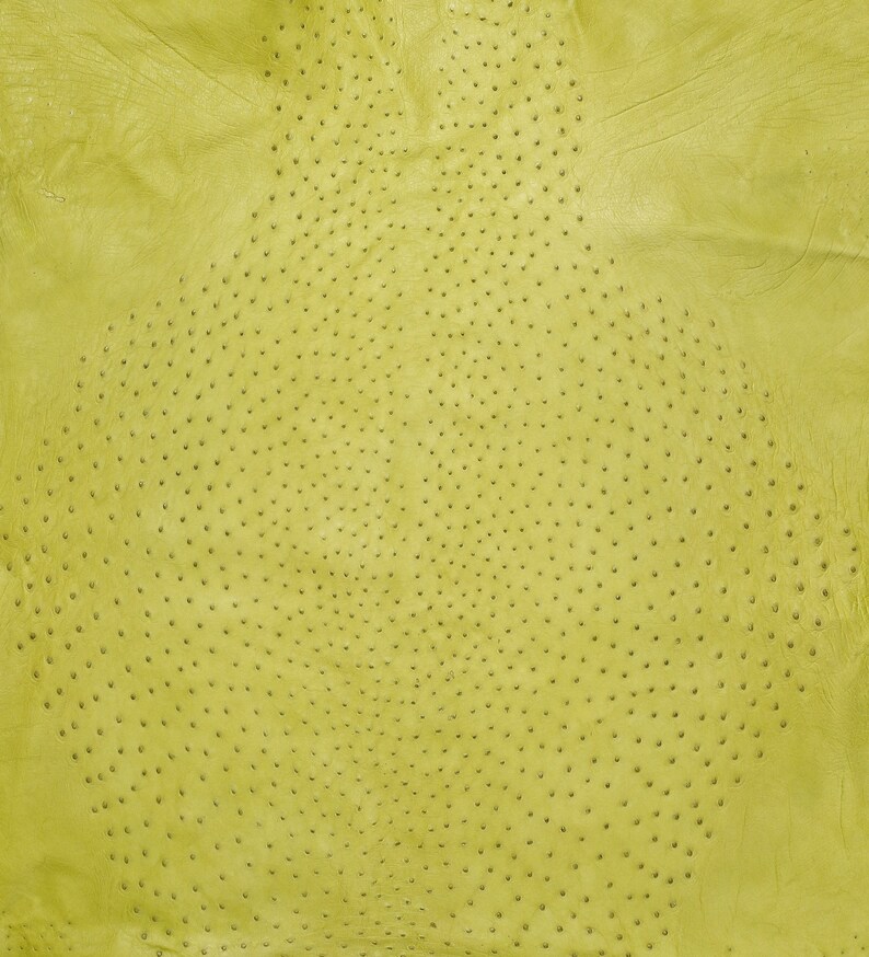 Ostrich Hide Leather Rising Sun shops Color (%100 Genuine Natural Skin )