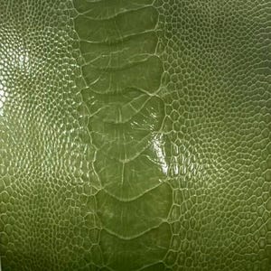 Puede incluir: Primer plano de un cuero de avestruz verde con un patrón texturizado.