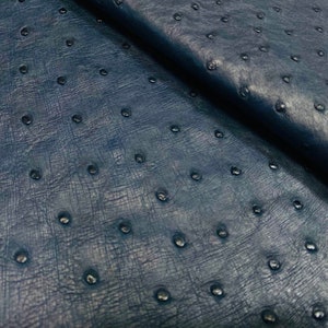 Ostrich skin Leather Navy Blue Color (%100 Genuine Natural Skin )