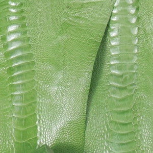 Ostrich Legs Leather Apple Green Color Grade A and B