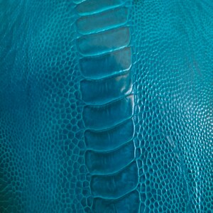 Ostrich Legs Leathers Turchese GL Color G.A