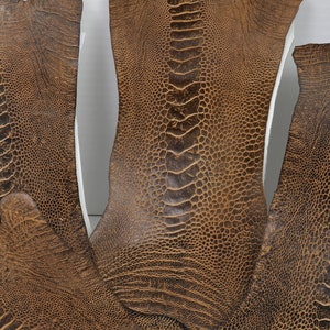 May include: Three pieces of brown ostrich leather with a textured pattern.