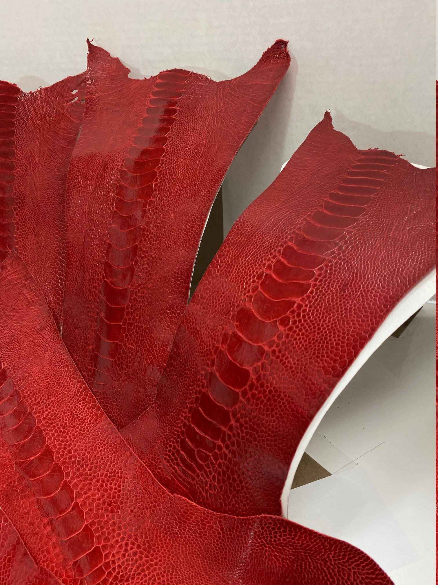 HIGH HEEL IN RED LAMBSKIN OSTRICH SKIN
