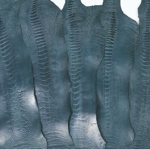 Ostrich Legs Leathers French Blue Color Grade B