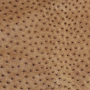 May include: Close-up of brown ostrich leather with a textured surface and a pattern of small, round holes.