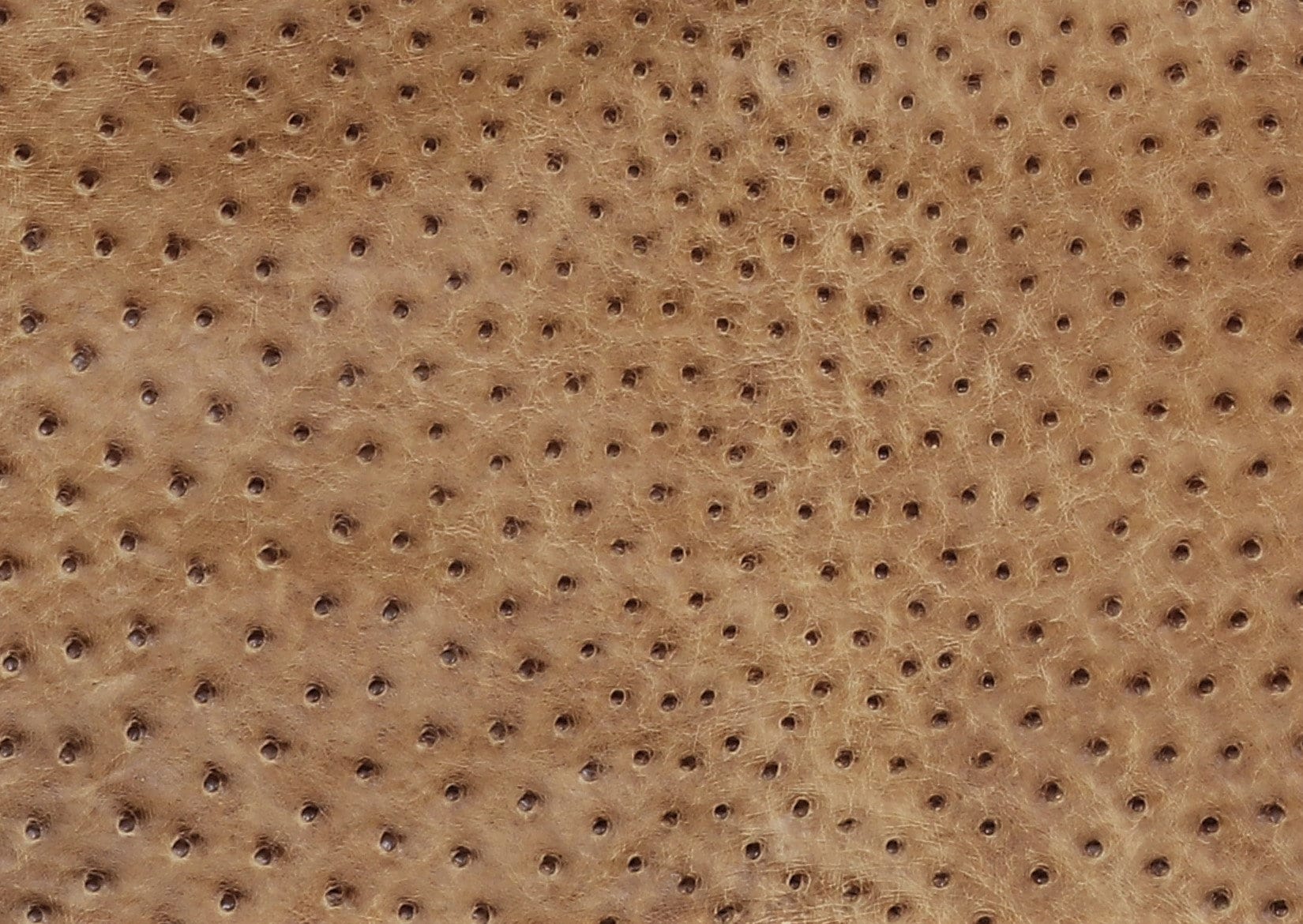 Ostrich Skin Leather Black Color %100 Genuine Natural Skin 