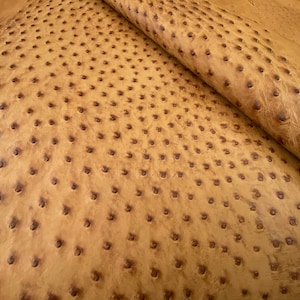 Ostrich skin Leather Umber Bruciato Color (%100 Genuine Natural Skin)