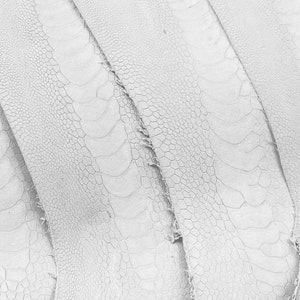 Ostrich Leg Leathers Crust
