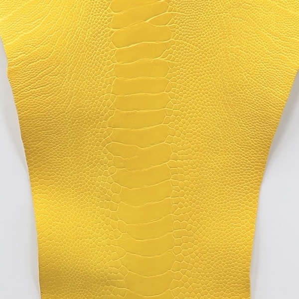 Ostrich Leg Leathers Yellow Color G. A