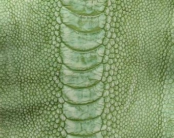 Ostrich Leg Leathers Linden Green Color (Stone Washed)