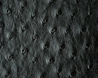 100% GENUINE OSTRICH LEG SKIN LEATHER HIDE exotic leather 100% GENUINE OSTRICH LEG SKIN LEATHER HIDE exotic leather