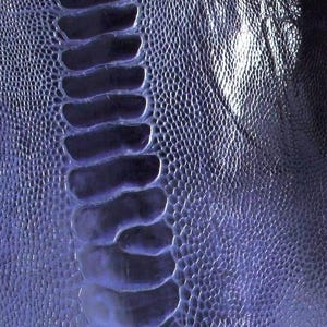 5 Ostrich Legs Leather Midnight Blue Color Grade B in one bundle