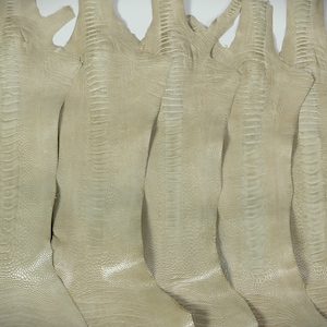 Ostrich Legs Leather Winter White Color Grade B