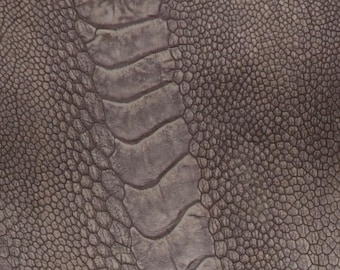 Cuirs de jambe d'autruche Marron délavé à la pierre Couleur