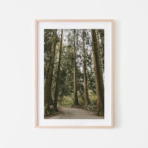 Snoqualmie Falls, Seattle Wall Art, Fine Art Prints, Minimalist Wall Art Print, Modern Wall Decor, Moody, Nature Photography, Tree Wall Art