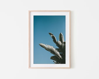 Laguna Beach Wall Art, California Wall Art, Fine Art Prints, Minimalist Wall Art Print, Modern Wall Decor, Moody, Palm Tree, Botanical Print