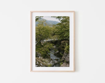 Hakone, Kanagawa Japan Wall Art, Japanese Garden, Fine Art Prints, Minimalist Wall Art Print, Modern Wall Decor, Travel, Landscape Photo