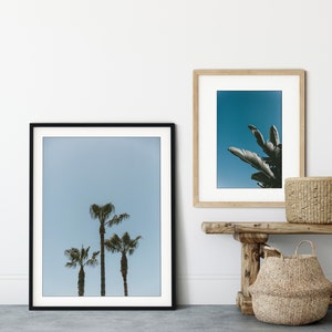 Palm Trees Wall Art, California Wall Art, Fine Art Prints, Minimalist Wall Art Print, Modern Wall Decor, Moody, Palm Tree, Botanical Print image 2