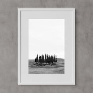 Tuscany, Cypress Trees in the Val d&#39;Orcia, Italy Wall Art, Black & White, Montalcino, Cipressi di San Quirico d&#39;Orcia, Fine Art Prints