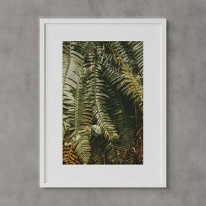 Botanical Wall Art, Seattle Wall Art, Fine Art Prints, Minimalist Wall Art Print, Modern Wall Decor, Moody, Nature Photography, Plants