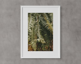 Botanical Wall Art, Seattle Wall Art, Fine Art Prints, Minimalist Wall Art Print, Modern Wall Decor, Moody, Nature Photography, Plants