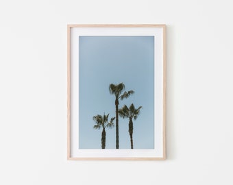 Palm Trees Wall Art, California Wall Art, Fine Art Prints, Minimalist Wall Art Print, Modern Wall Decor, Moody, Palm Tree, Botanical Print