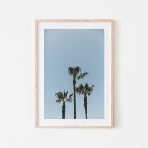 Palm Trees Wall Art California Wall Art Fine Art Prints Etsy