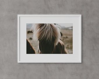 Iceland Wall Art, Icelandic Horse, Fine Art Prints, Minimalist Wall Art Print, Modern Scandinavian Wall Decor, Gift, Travel Photography