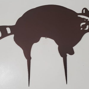Racoon Yard Stake