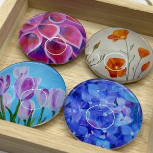 Magnets 2”, Gift set of 4, Variety