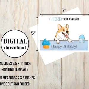 Anniversaire Herder Corgi