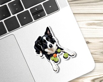 May include: A sticker featuring a Border Collie dog with black and white fur, lying down with several green and orange tennis balls. The sticker is placed on a white surface next to a laptop.