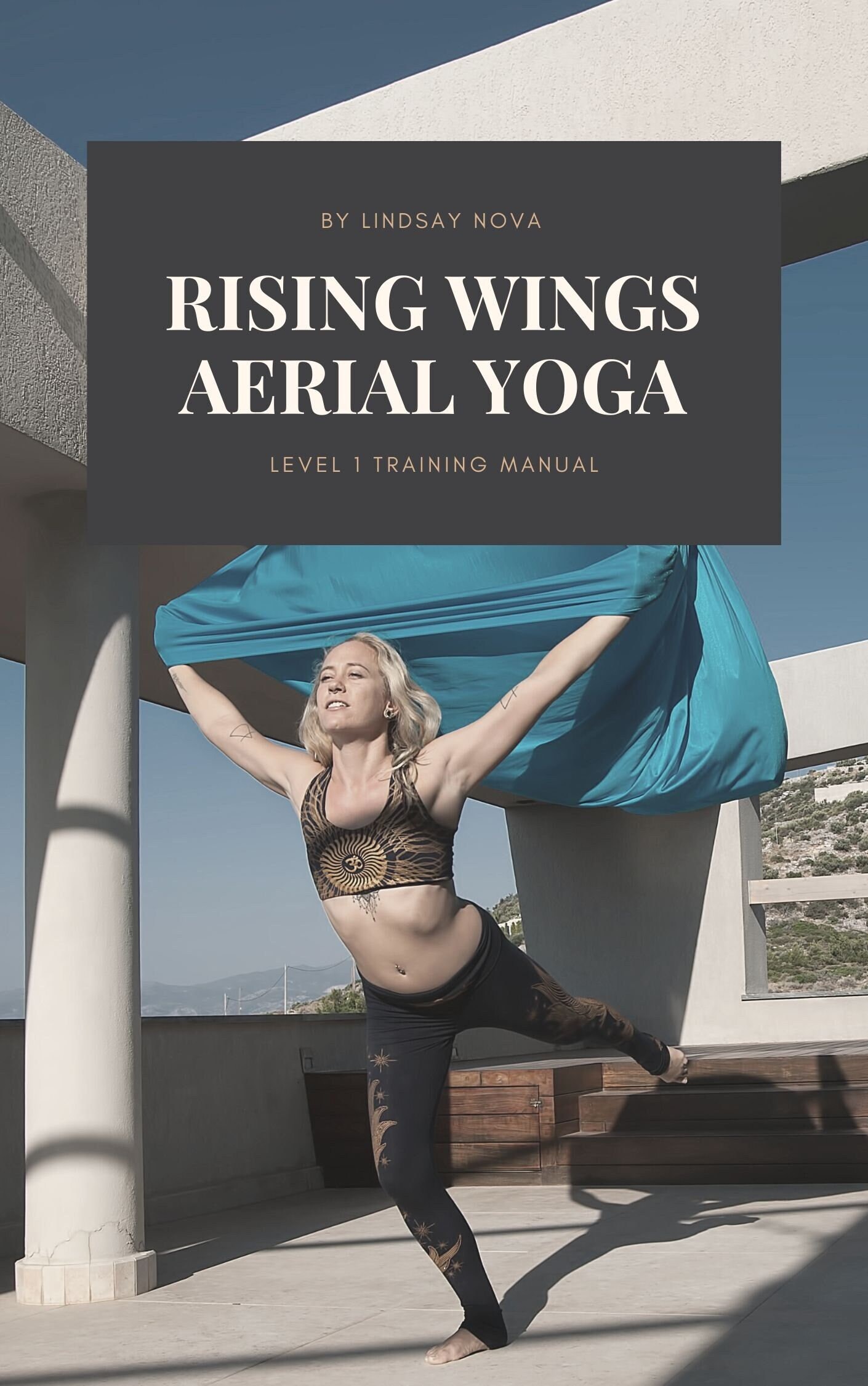 aum active Ensemble de balançoire de yoga aérienne – Hamac de yoga avec  sangles d'extension, mousquetons et guide de pose – Outil d'inversion de  yoga pour l'intérieur et l'extérieur : : Sports