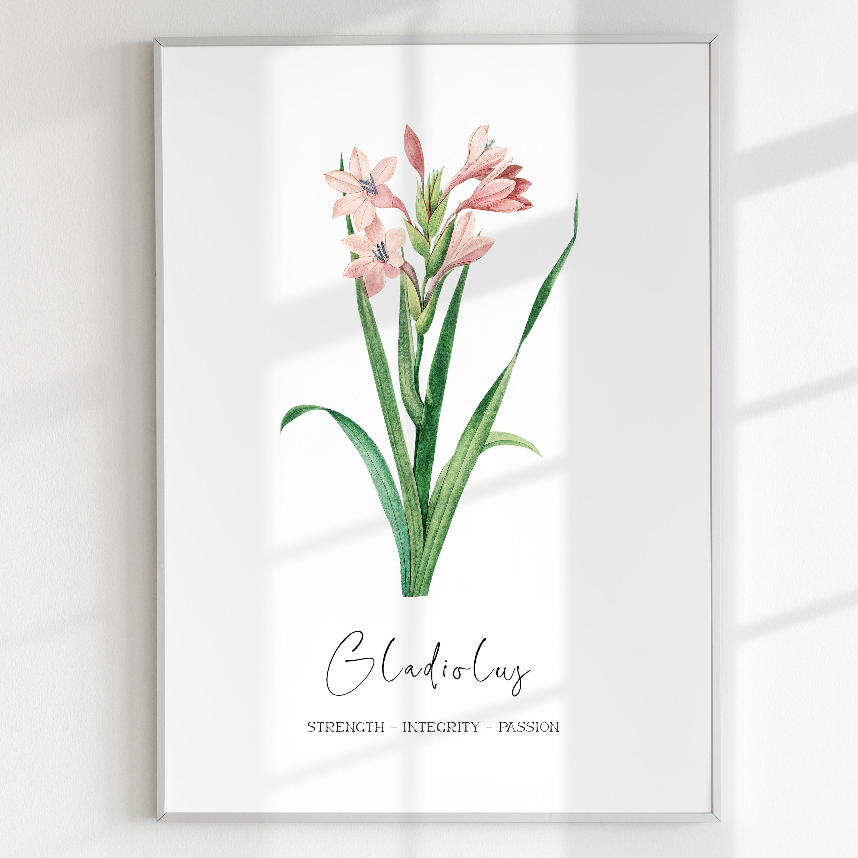 AUGUST BIRTH FLOWER Gladiolus Birth Print Nursery Print Digital