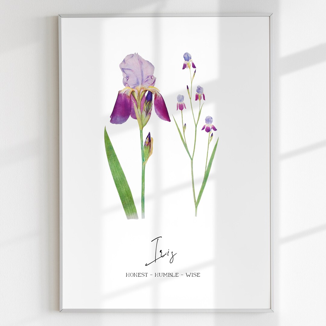 FEBRUARY BIRTH FLOWER Iris Vintage Floral Print Nursery Print Digital
