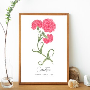JANUARY BIRTH FLOWER Carnation Symbolism Vintage Floral Print Nursery