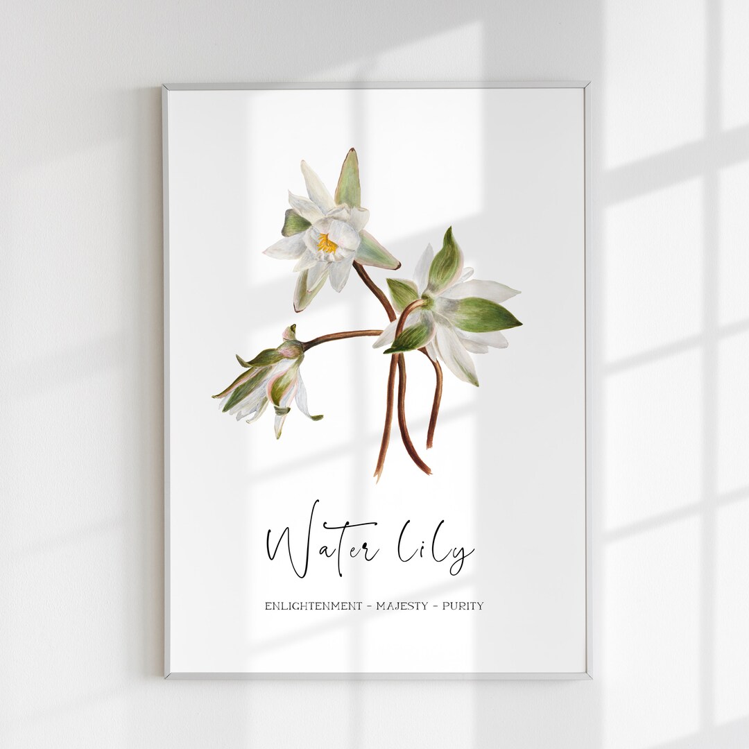 July Birth Flower Art Printable Digital Download, Water Lily Art Print ...