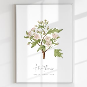 MAY BIRTH FLOWER Hawthorn Birth Print Nursery Print Digital Download Printable Birth Flower May Hawthorn Meaning Art Poster Baby Gift Art