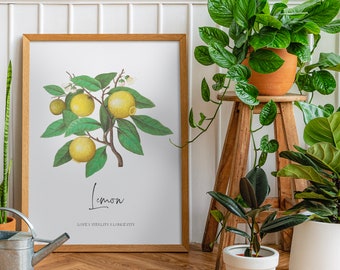 KITCHEN ART DECOR Wall Print Lemons Print Art, For Love and lemons Printable Kitchen Art Prints, Fruit Wall Art, Citrus Prints Digital Art