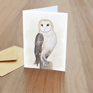 Biglietto d'auguri vuoto con barbagianni - fauna selvatica britannica
