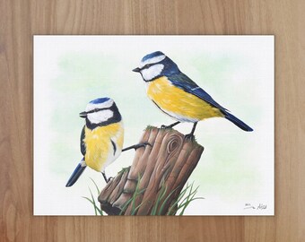 Blue Tits Wildlife Art Print, A4 or 8x6