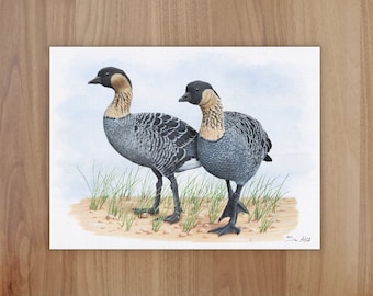 Hawaiian Geese Wildlife Art Print, A4 or 8x6
